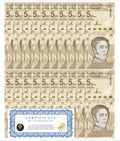 Venezuela 5 Digitales banknotes 2021 qty 20 UNC 5 million bolivars New COA0