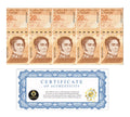 Venezuela 20 Digitales banknotes 2021 qty 5 UNC 20 million bolivars New P-1170