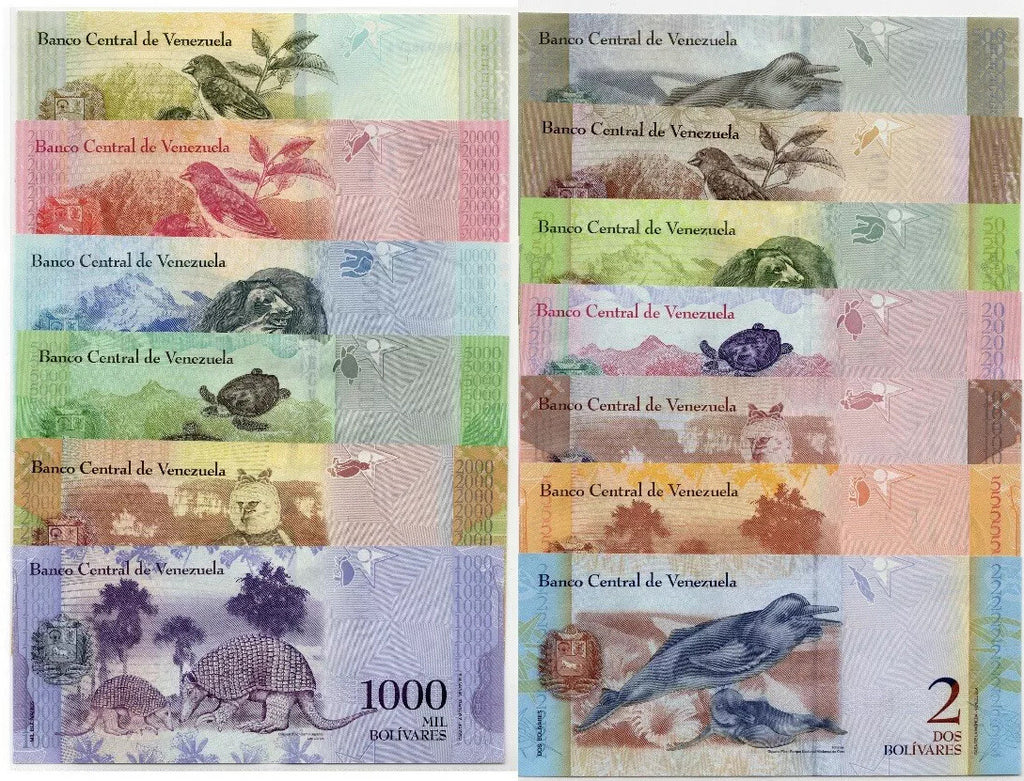Venezuela 2 to 100,000 Bolivares, 2007-2017 FULL SET, 13 Pcs UNC Banknotes3