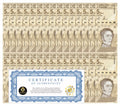 Venezuela 5 Digitales banknotes 2021 qty 30 UNC 5 million bolivars New COA0