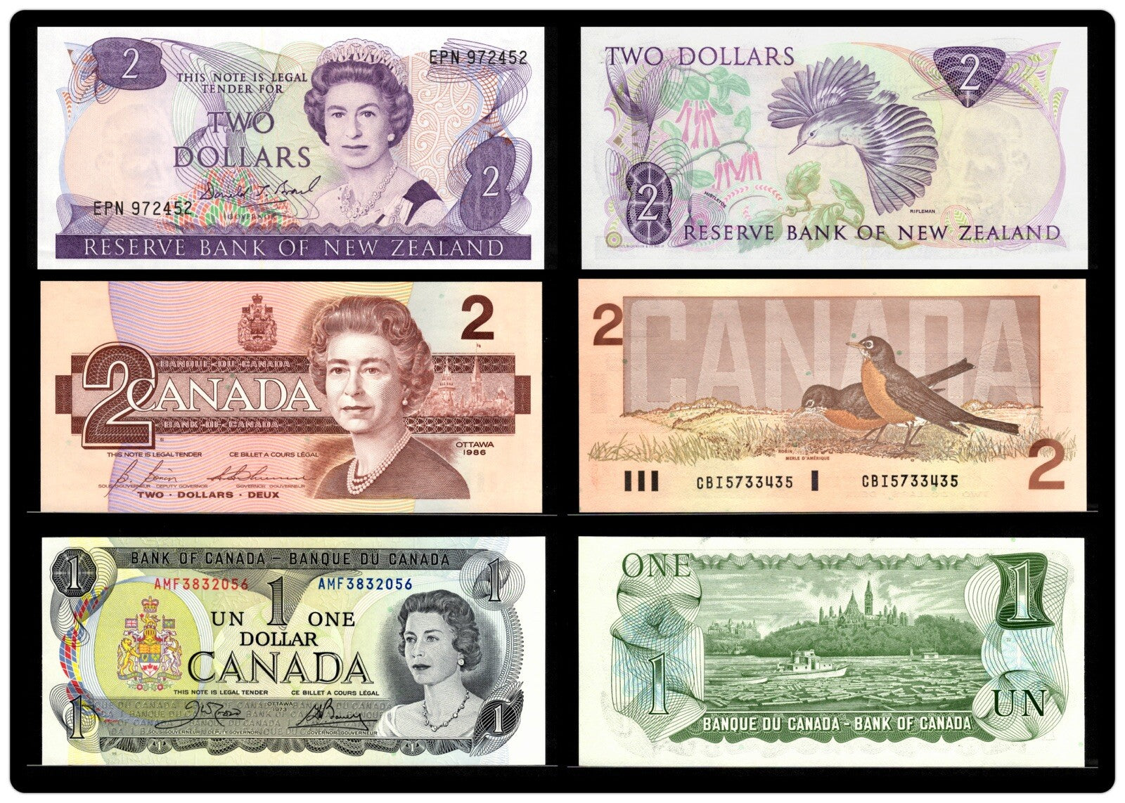 Queen Elizabeth II, 23 PCs Banknote/Coin Album Set, UNC Currency Gift Set4