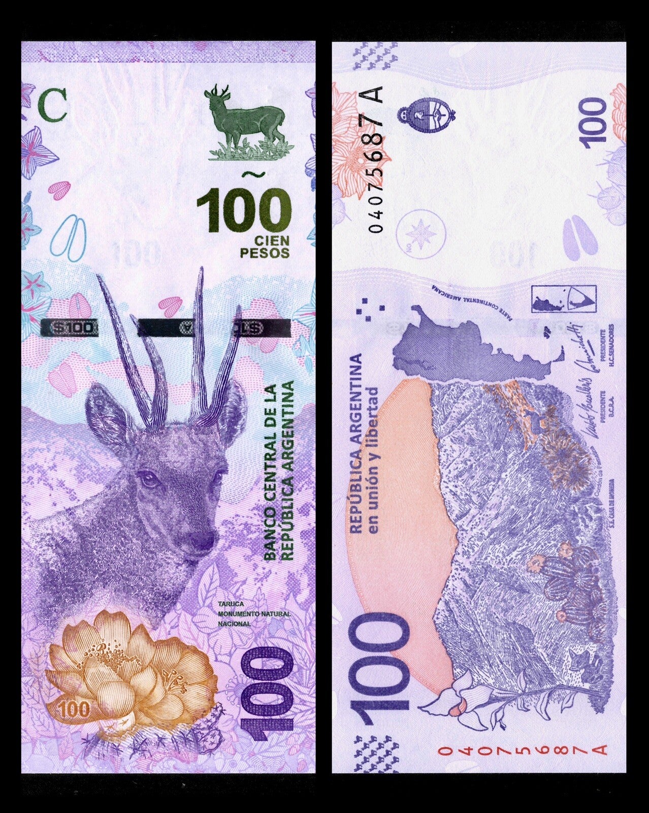 Argentina 20 50 100 200 500 1000 Pesos 6 Pcs SET NEW, 2016-2019 Banknote ND UNC6