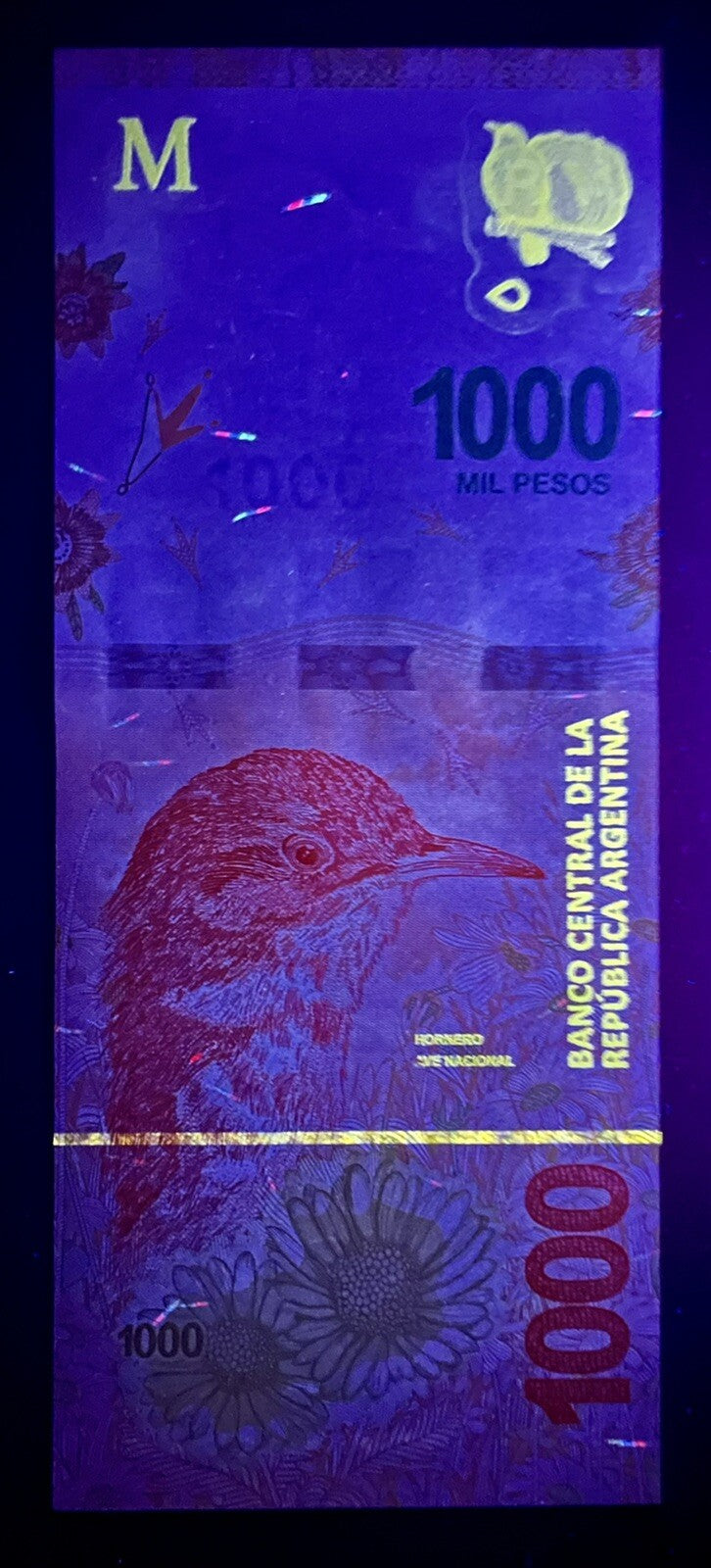 Argentina 20 50 100 200 500 1000 Pesos 6 Pcs SET NEW, 2016-2019 Banknote ND UNC10