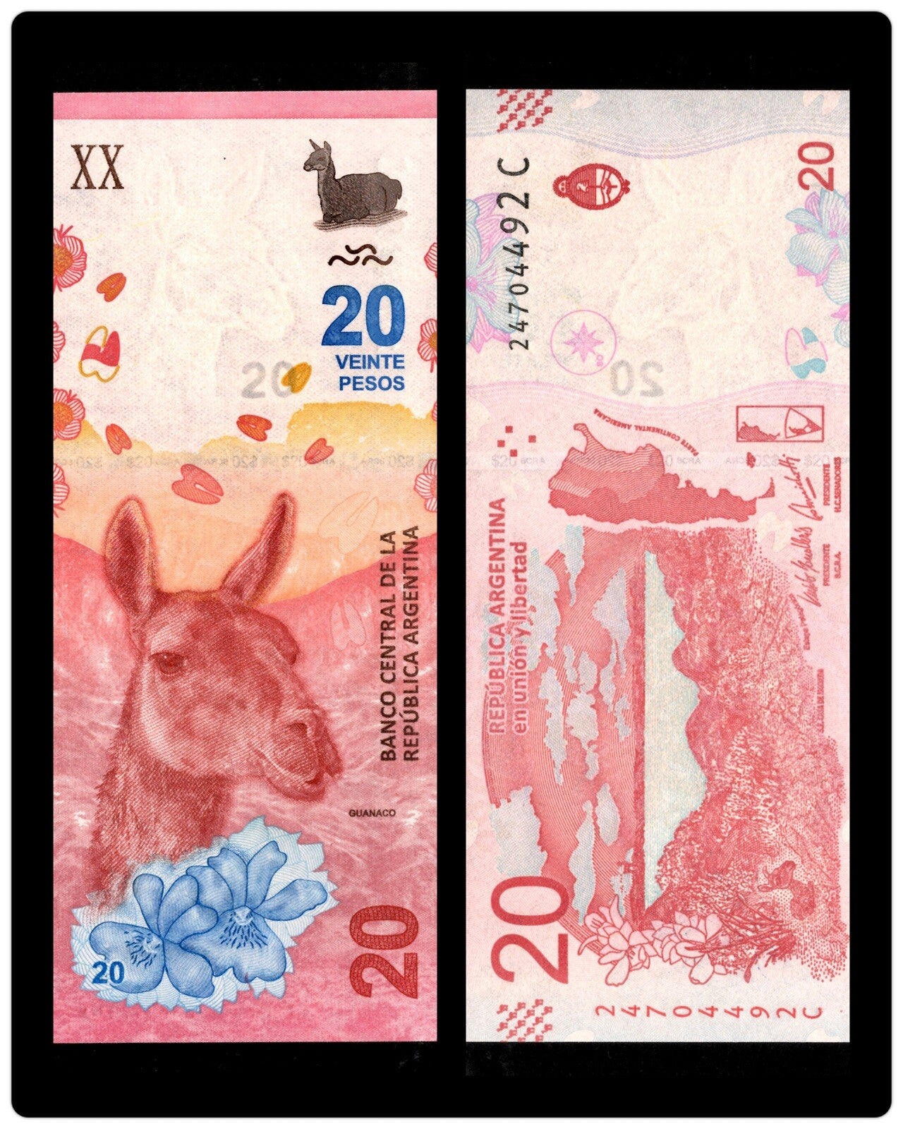 Argentina 20 50 100 200 500 1000 Pesos 6 Pcs SET NEW, 2016-2019 Banknote ND UNC8
